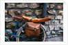 French Bread Strapped to a Bicycle by Anonymous