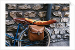 French Bread Strapped to a Bicycle by Anonymous