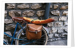 French Bread Strapped to a Bicycle by Anonymous