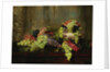 Grapes by Alberta Binford McCloskey