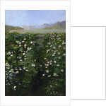 San Francisco Garden by Alberta Binford McCloskey