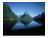 Milford Sound, New Zealand by Anonymous