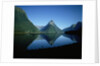 Milford Sound, New Zealand by Anonymous