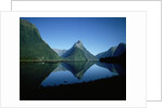 Milford Sound, New Zealand by Anonymous