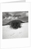 Hills Behind Cluster of Beach Grass by Anonymous