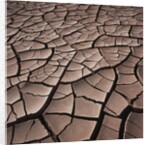 Deep Cracks in the Desert by Anonymous