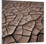 Deep Cracks in the Desert by Corbis