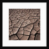 Deep Cracks in the Desert by Anonymous