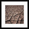 Deep Cracks in the Desert by Corbis