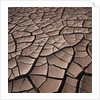 Deep Cracks in the Desert by Anonymous