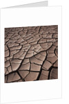 Deep Cracks in the Desert by Corbis