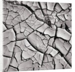 Cracked Desert Mud by Anonymous