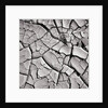 Cracked Desert Mud by Anonymous