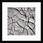 Cracked Desert Mud by Anonymous