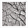 Cracked Desert Mud by Anonymous