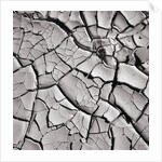 Cracked Desert Mud by Anonymous