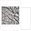 Cracked Desert Mud by Anonymous