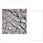 Cracked Desert Mud by Anonymous