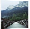 Footbridge Spanning the Base of a Valley by Anonymous