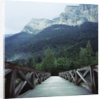 Footbridge Spanning the Base of a Valley by Anonymous