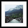 Footbridge Spanning the Base of a Valley by Anonymous