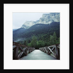 Footbridge Spanning the Base of a Valley by Anonymous