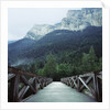 Footbridge Spanning the Base of a Valley by Anonymous