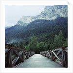 Footbridge Spanning the Base of a Valley by Anonymous