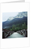 Footbridge Spanning the Base of a Valley by Anonymous