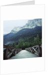 Footbridge Spanning the Base of a Valley by Anonymous