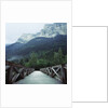 Footbridge Spanning the Base of a Valley by Anonymous
