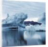 Icebergs Reflected in Water by Anonymous