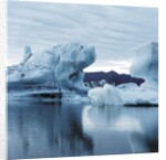Icebergs Reflected in Water by Anonymous