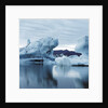 Icebergs Reflected in Water by Anonymous