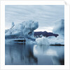 Icebergs Reflected in Water by Anonymous