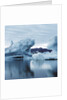 Icebergs Reflected in Water by Anonymous
