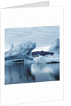 Icebergs Reflected in Water by Anonymous