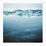 Bergy Bits Near Pack Ice by Anonymous