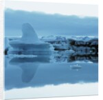 Iceberg Shaped Like a Whale Fin by Anonymous
