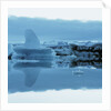 Iceberg Shaped Like a Whale Fin by Anonymous