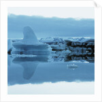 Iceberg Shaped Like a Whale Fin by Anonymous