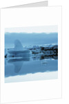 Iceberg Shaped Like a Whale Fin by Anonymous