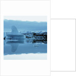 Iceberg Shaped Like a Whale Fin by Anonymous