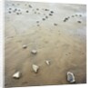 Rock-Strewn Beach by Anonymous