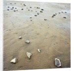 Rock-Strewn Beach by Anonymous