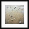 Rock-Strewn Beach by Anonymous