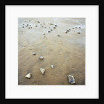 Rock-Strewn Beach by Anonymous
