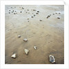 Rock-Strewn Beach by Anonymous