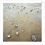 Rock-Strewn Beach by Anonymous