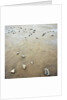 Rock-Strewn Beach by Anonymous